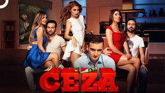 Sise Cevirmece